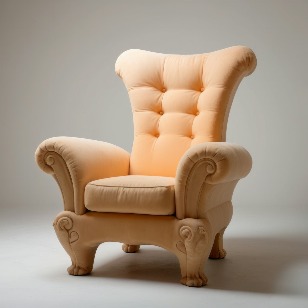 Lumbar Support Cushion — photo by BUTAFORYA COM on Unsplash